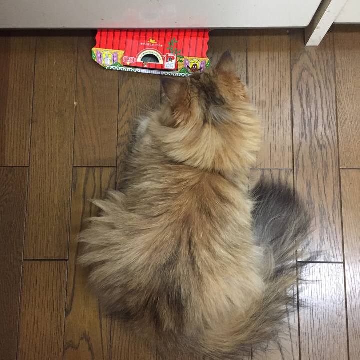 A2cf1f9d ddad 4dba bdcd 23cccdc0f9a9 1535285874267