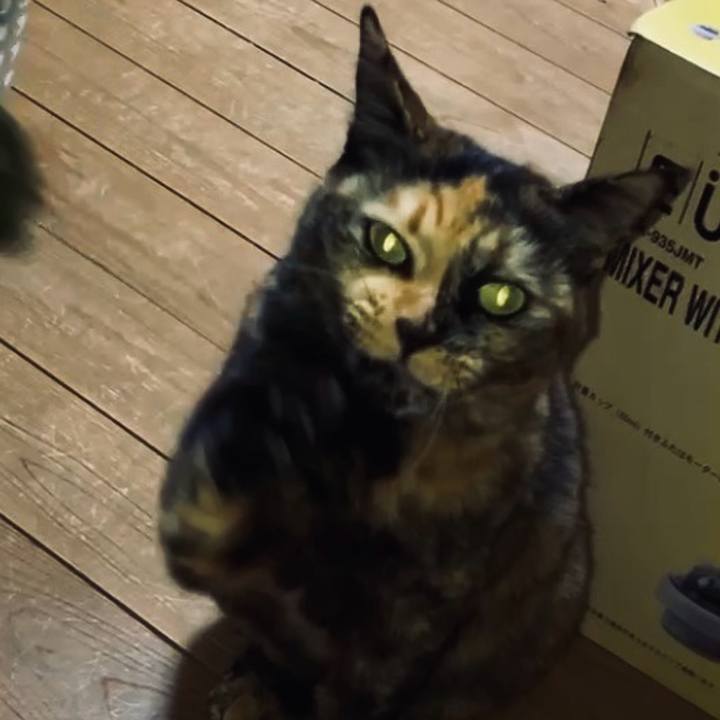 A2cf3985 3b46 4847 ab11 0be0d25fb2b9 1734465419217