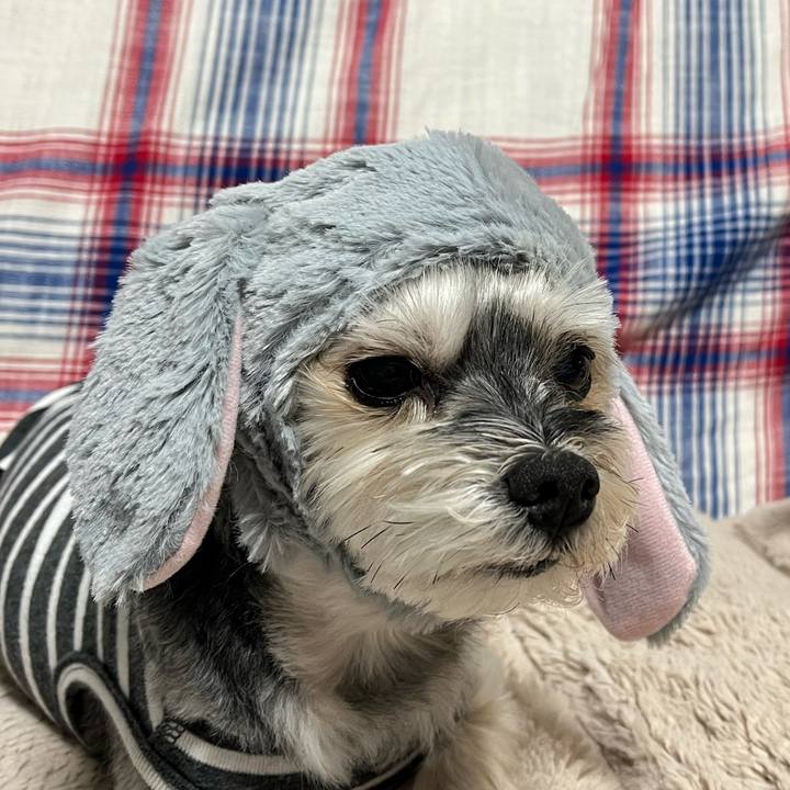 A2cf851f cb9e 4742 a7f9 408f5240c63a 1772269978992