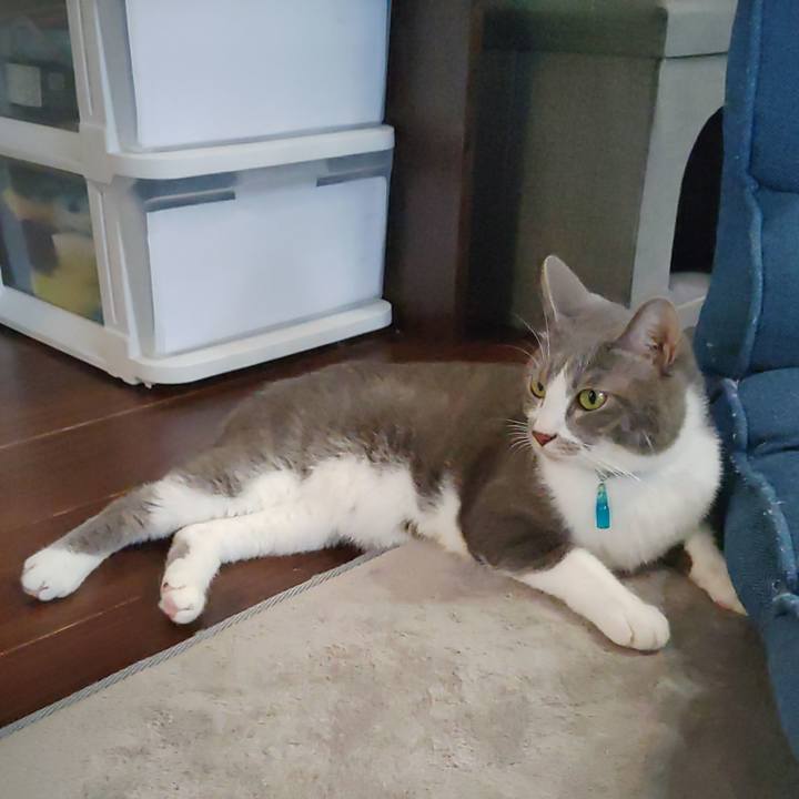 A2cf8b5d 2895 4de0 a1c9 e3b340d94e71 1660514397201