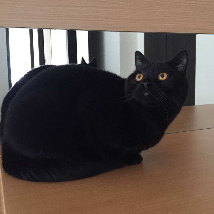 A2d004b0 0ace 45b2 b0cb 53b2bbe4ed29 1521760947362