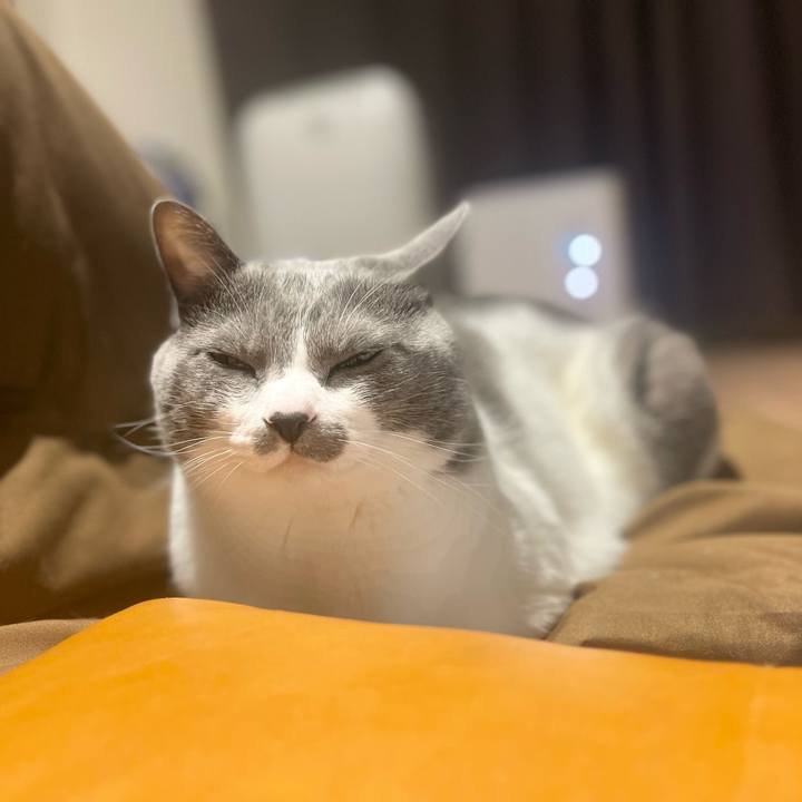 A2d0199e e811 431f b8df dd3a08f884b2 1673796648335