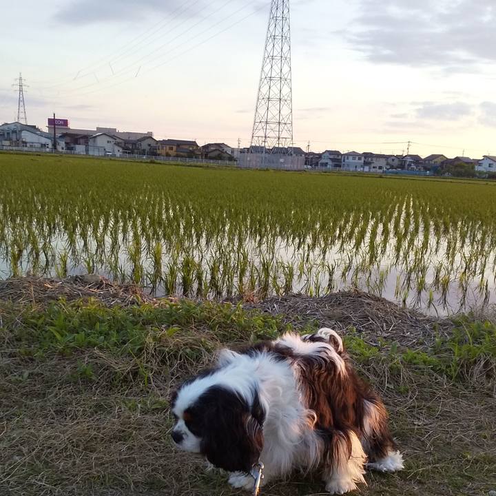 A2d052b8 fada 4781 86f7 87b15cf4b1c0 1590670497576