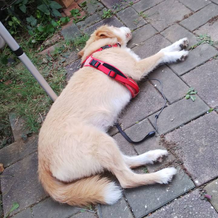 A2d099b3 ab17 4d81 b529 5b98f9f13f45 1565428057770