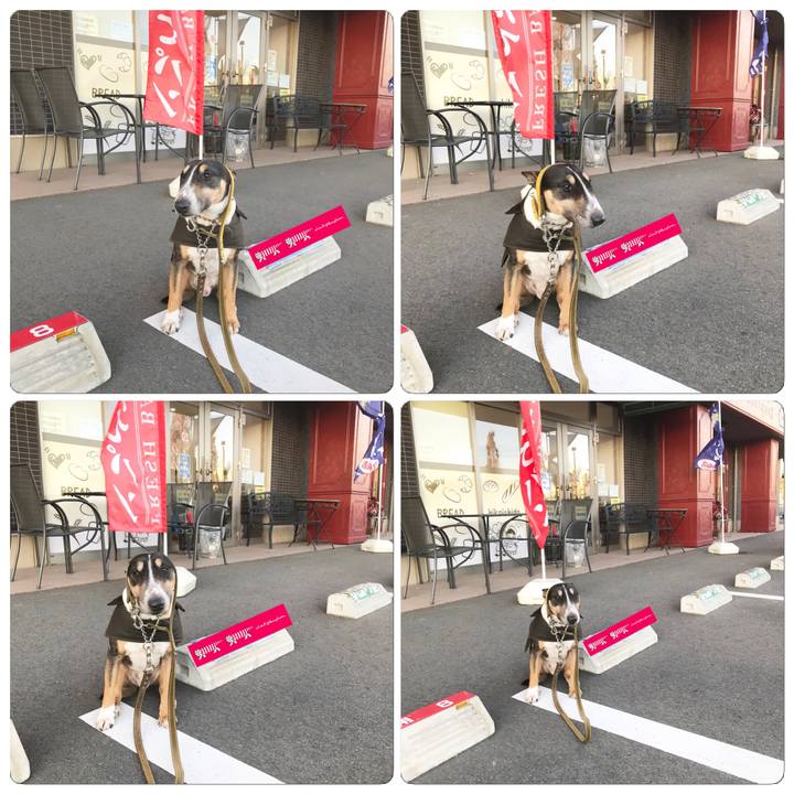 A2d0d01e 9525 4959 9e88 614a875a07fc 1514455033071