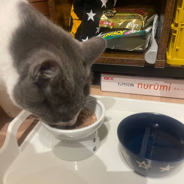 A2d0d699 1019 4ef8 b28b b2beebe2bcad 1733226137427