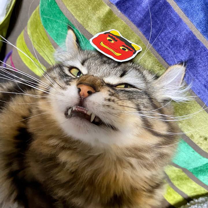 A2d0de02 e544 4279 918c 8f3bffd5433d 1580731850380