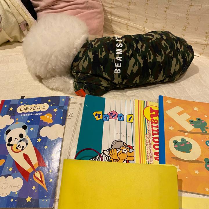 A2d0e019 798b 4ad6 b05d 854b15bf5ea7 1730794993852