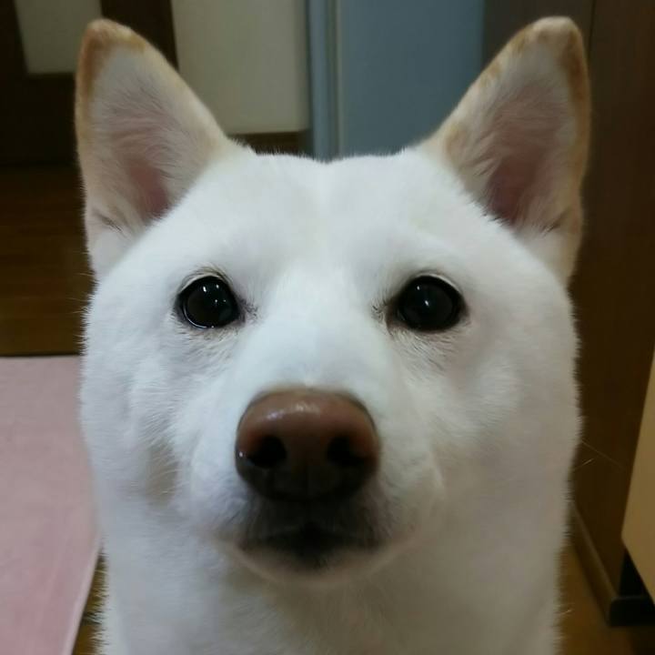 A2d1325b f621 480d be02 5c0851ec138b 1549368045661