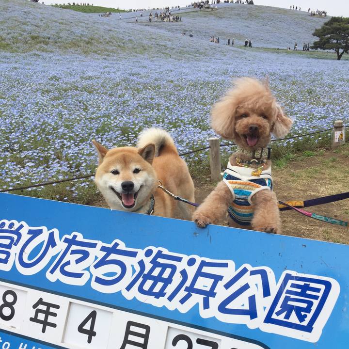 A2d19014 0746 4681 9cd2 36f0a731d865 1524810321015