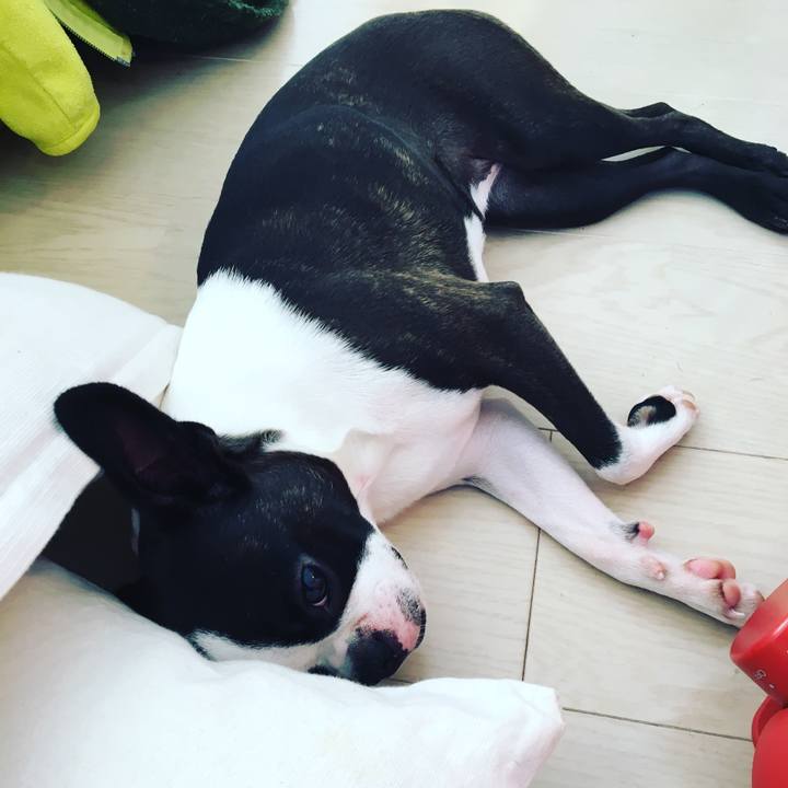 A2d1a2ac e92b 4bd2 aa24 f7bd229e0547 1514689468667