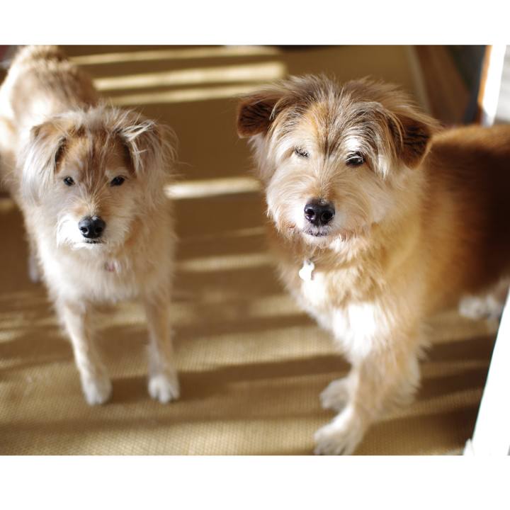 A2d1d734 8102 40a6 a2b7 9bad927bd6fe 1611110718540