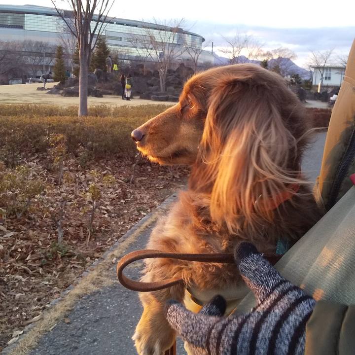 A2d1d7df 6b42 4432 8186 5b2b76598482 1547454211954