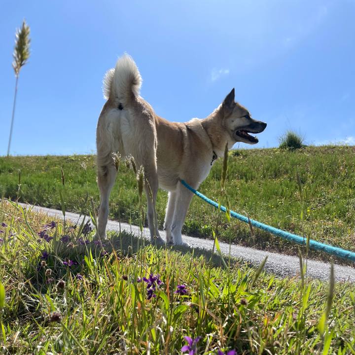 A2d1e46b e98b 4d9f b572 51bf64760cf0 1681043118295