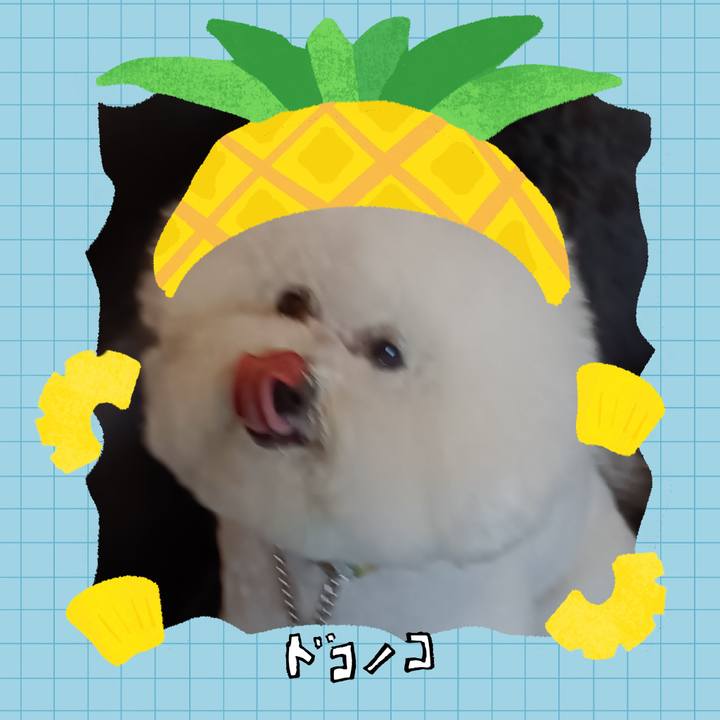 A2d20343 55e2 4b61 a488 74e9257f2163 1783307684140