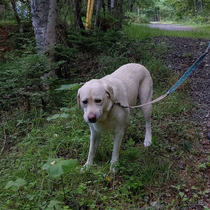 A2d21161 cba0 45f6 91a7 a369287976d8 1659670379781