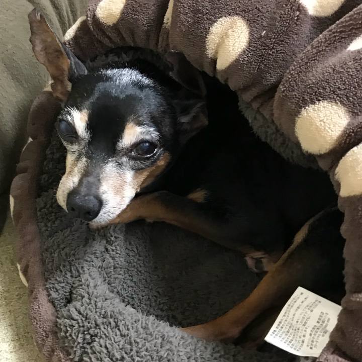 A2d2119c 5dc8 4ee6 a027 bbaac3902f8b 1526042251245