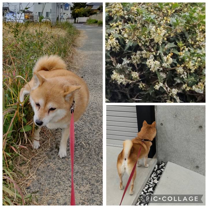 A2d2399d 7349 4260 87eb cd3a74b422bc 1763966914488