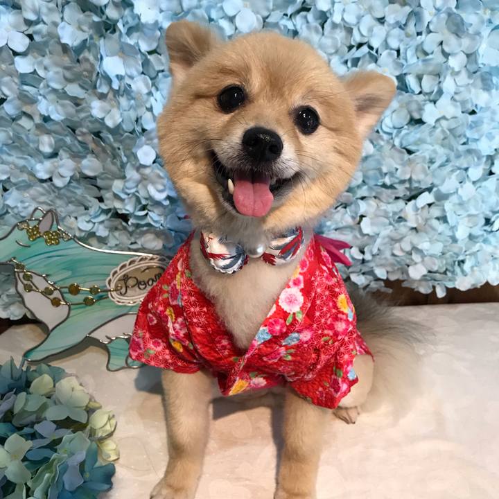 A2d23be4 75a2 4acb 96e5 c5ca0367ca02 1596361373153