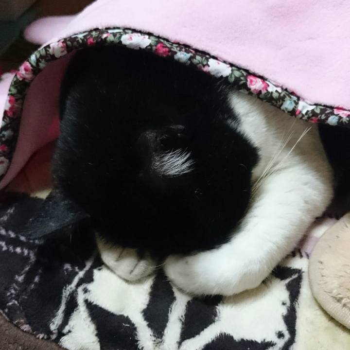 A2d2512a b05e 4cbb 96e8 587422752696 1511188035255