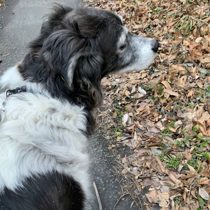 A2d25508 01ce 4a89 9710 54ea181d3338 1583410278507