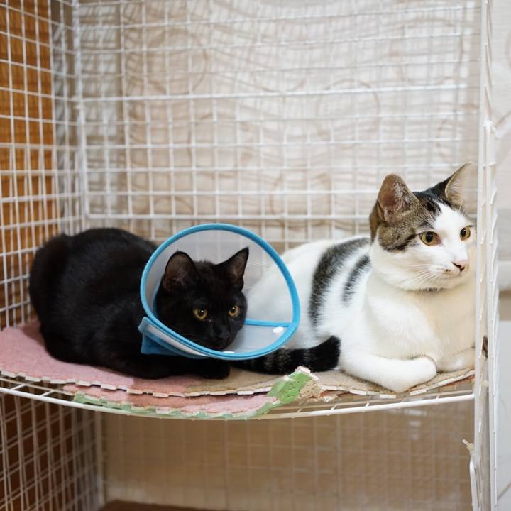 A2d25752 128b 40ed a170 dc3d9e5356ed 1512137687717