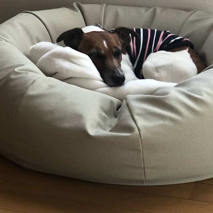 A2d26874 f081 4373 9bc9 b8443358d200 1578526410852