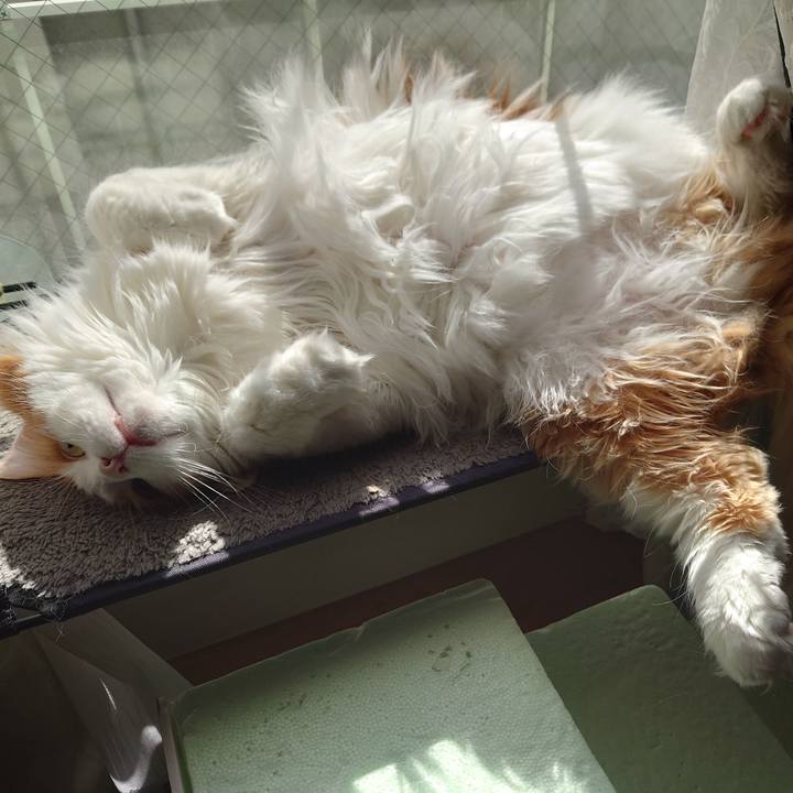 A2d273d1 70e2 4180 8444 a7b270313352 1644372998959