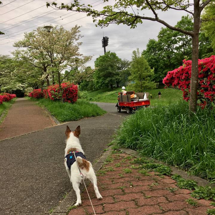 A2d27a7f d535 407e 9a60 2ae1f7e26176 1650929085897