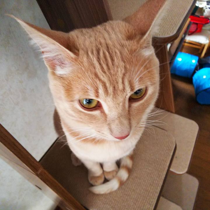 A2d2a1c1 f9e9 4b1d bfce 344e3bd4f004 1551825825677