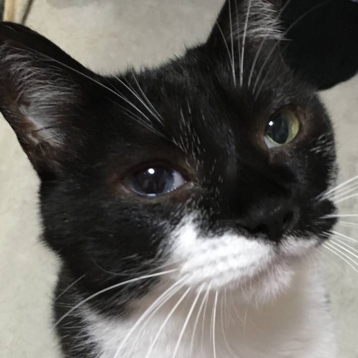 A2d2f29e 55a8 4d28 bb6a baeaa0f71ad1 1535190743004