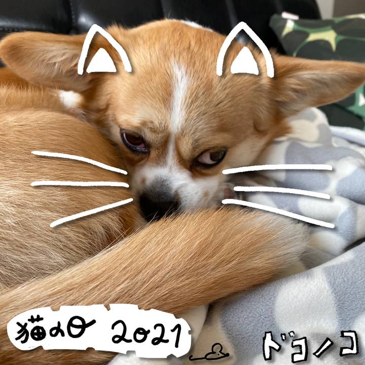 A2d321e0 6ebb 4418 b49a afa6bb72ed3b 1613968351358