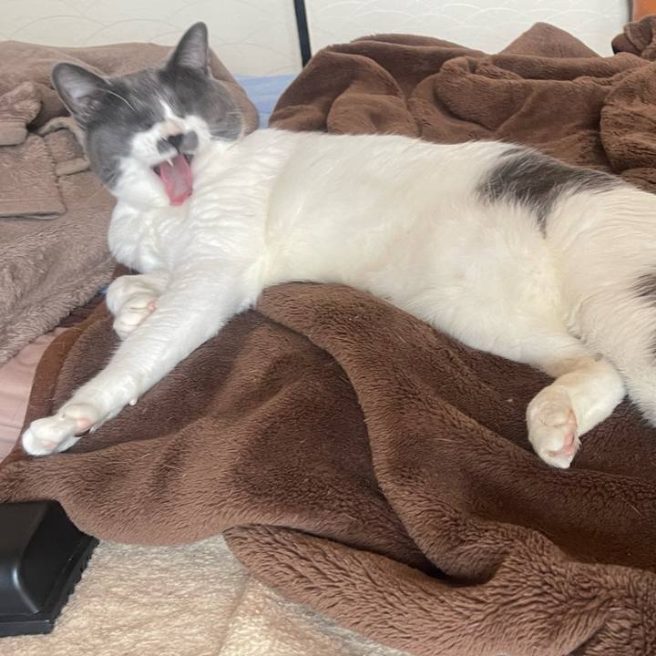 A2d32ec6 bd92 4977 bbb7 d1a7aab6c1d6 1653704120270