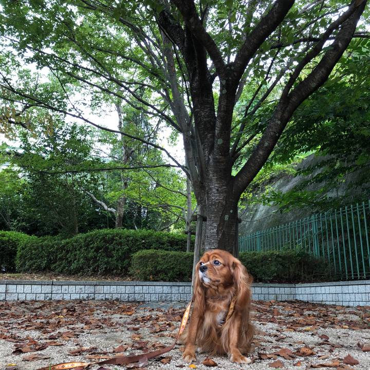 A2d369a1 4c16 4e04 ab04 e995fa989af3 1601850417727