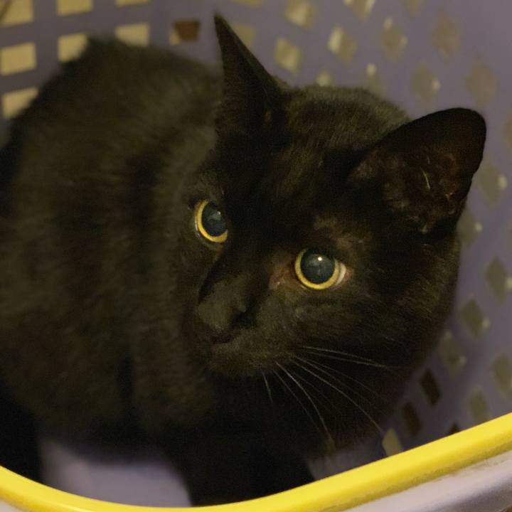 A2d3776a d9d2 4a58 93d5 8300f960775c 1589592167984