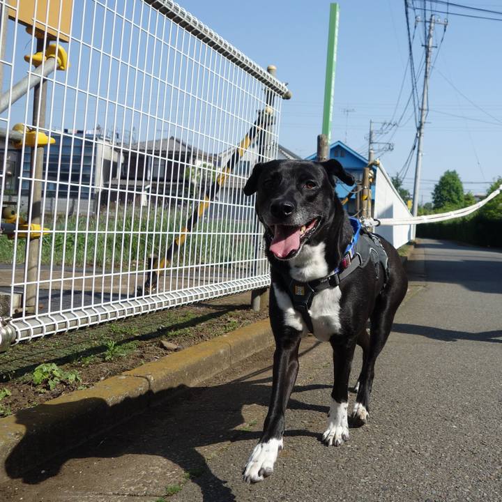 A2d3a821 bb60 465d b234 6c0d48015226 1651626913142