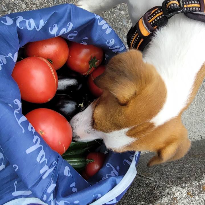 A2d3b11f 2a23 4658 a932 bf0945defff4 1657174536573