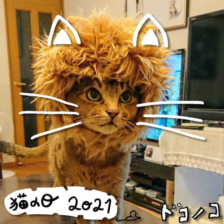 A2d3b380 2467 42e7 afc0 ca46c08d02cc 1613997284489