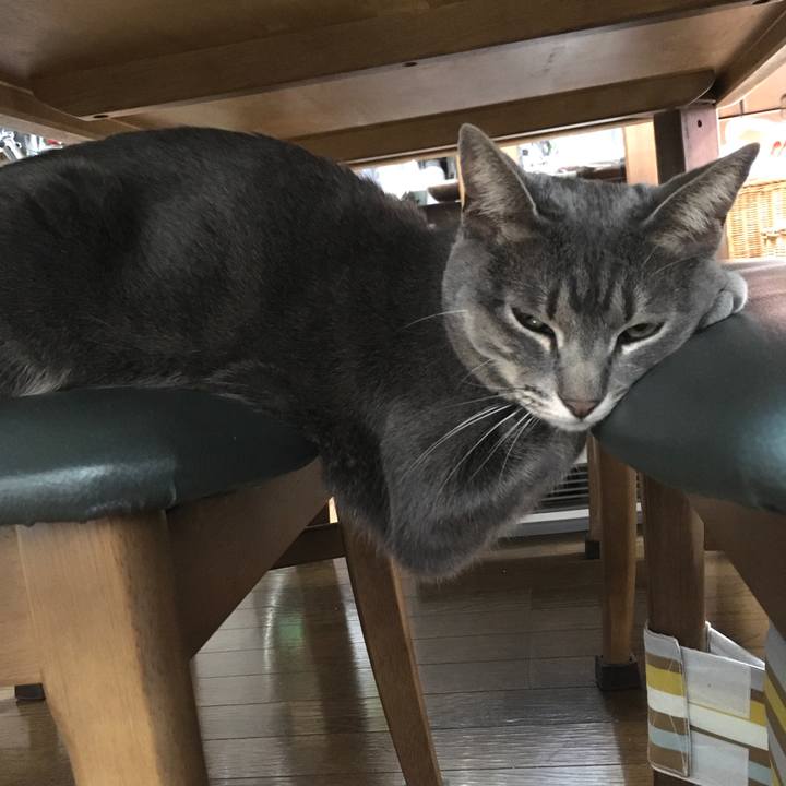 A2d3b494 ef77 4577 85c1 09bca0c3ea6d 1577621715681