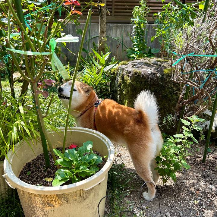 A2d3d266 4c1f 4f78 8404 c798d04082f9 1723104094234