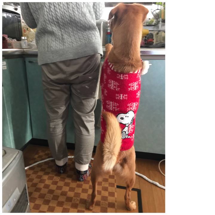 A2d3e356 6eb8 4f12 bf96 f9025d5d0260 1546493399231