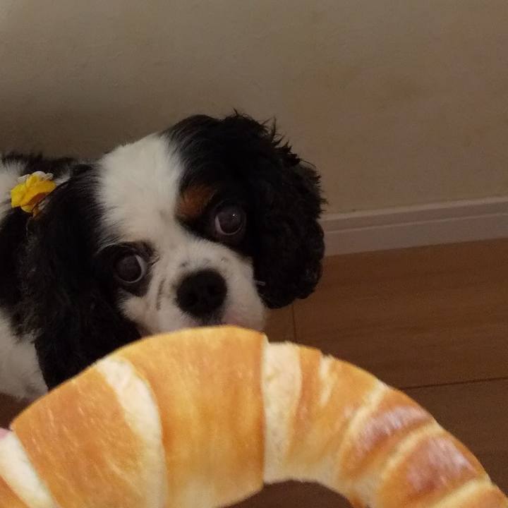 A2d41f9b 4493 49e0 b06d a2403a436eaf 1599952930591