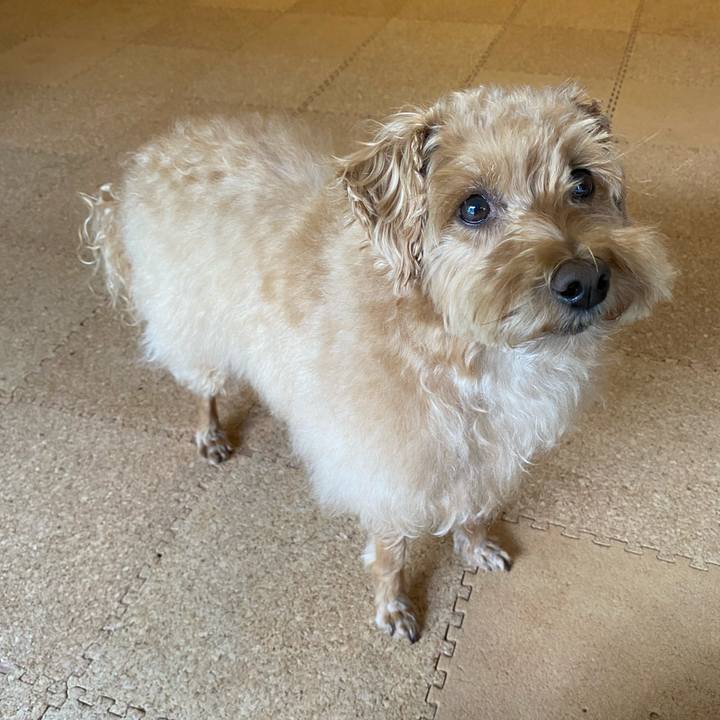 A2d43f20 0a3c 4a4c aa72 3ef8069a0ae9 1664676723720