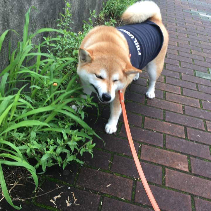 A2d465cf b506 4b2c 9bf2 7003c59d6ec8 1563496278935