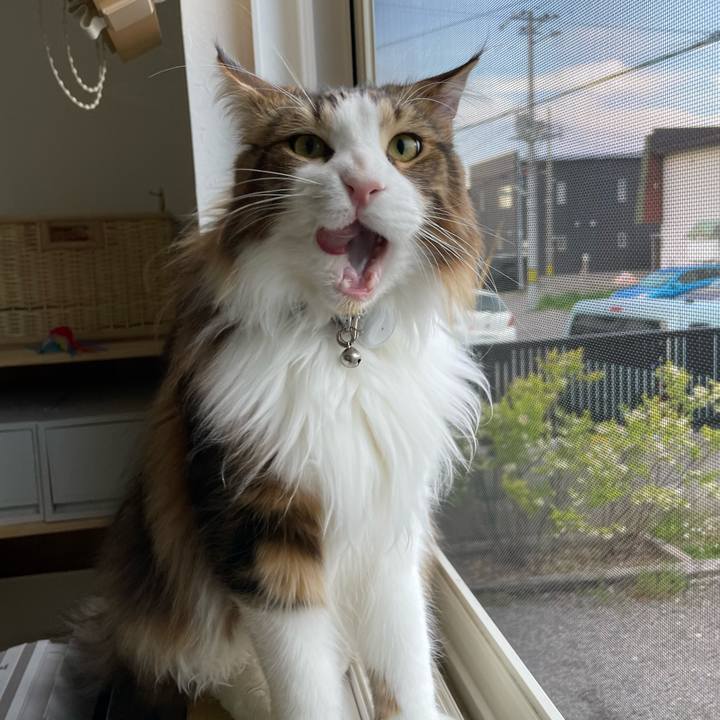 A2d47164 90aa 4da7 84b5 ddcc7e4f40bc 1652732530037