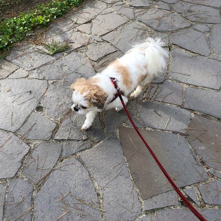 A2d48053 ad0f 4ecb 84a8 0cf33bfaf86c 1571089914317