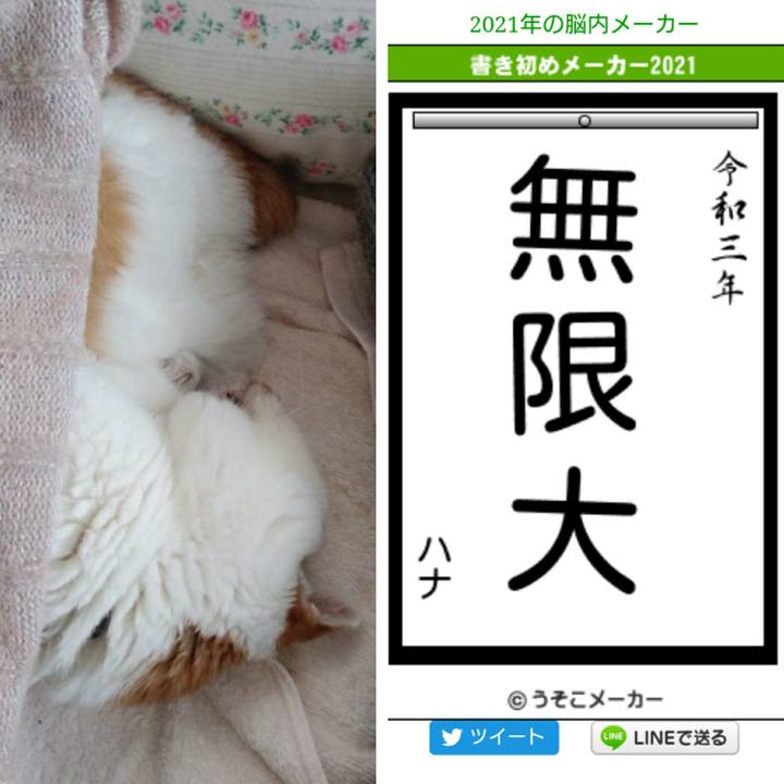 A2d49e13 bc60 4533 9a49 7a8cfbacd931 1609469629774