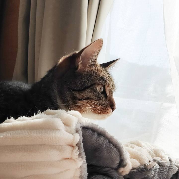 A2d4bb62 d87b 4422 81c9 0d9840ae7435 1679360925683