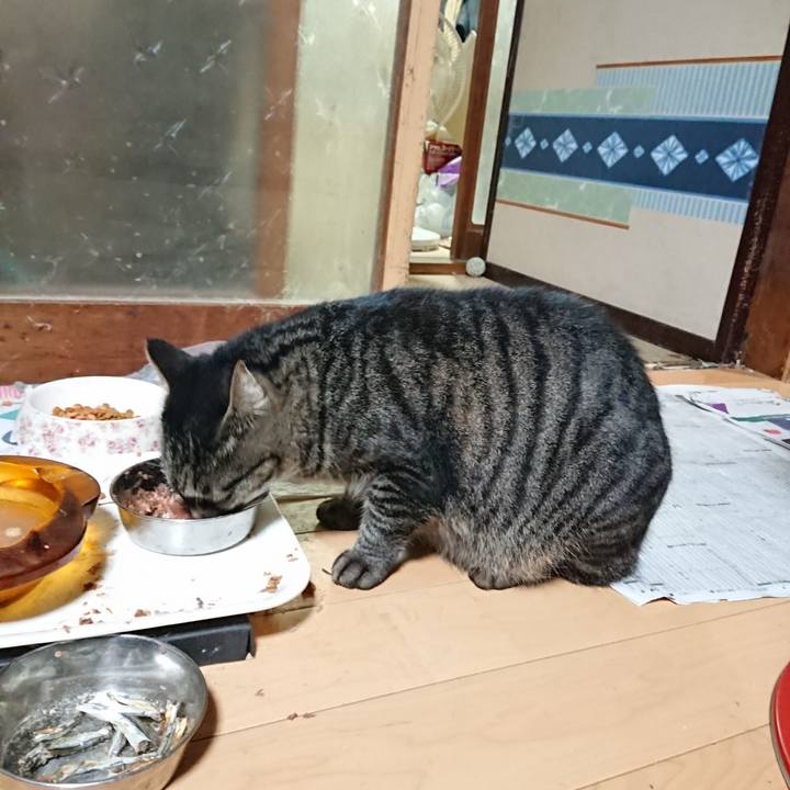 A2d4cebe a41a 4394 a321 a1f71144f031 1633176807855