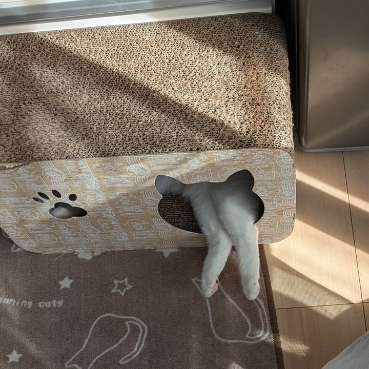 A2d4dd71 1ddb 45e0 88c0 2bcb86d486d2 1729213778528